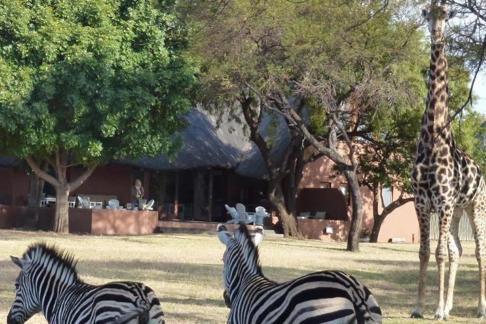 Zebras Crossing Private Game Lodge Modimolle Eksteriør billede