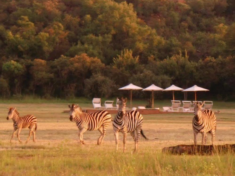 Zebras Crossing Private Game Lodge Modimolle Eksteriør billede