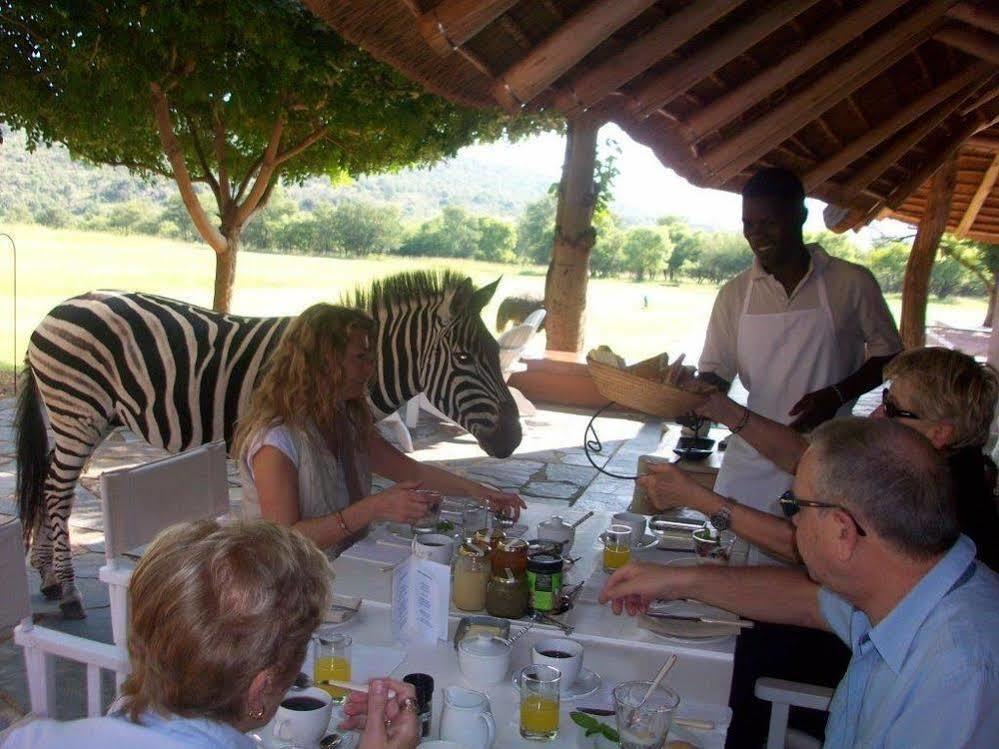 Zebras Crossing Private Game Lodge Modimolle Eksteriør billede