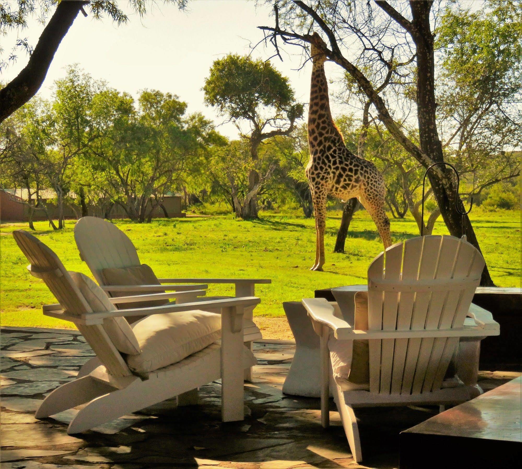 Zebras Crossing Private Game Lodge Modimolle Eksteriør billede